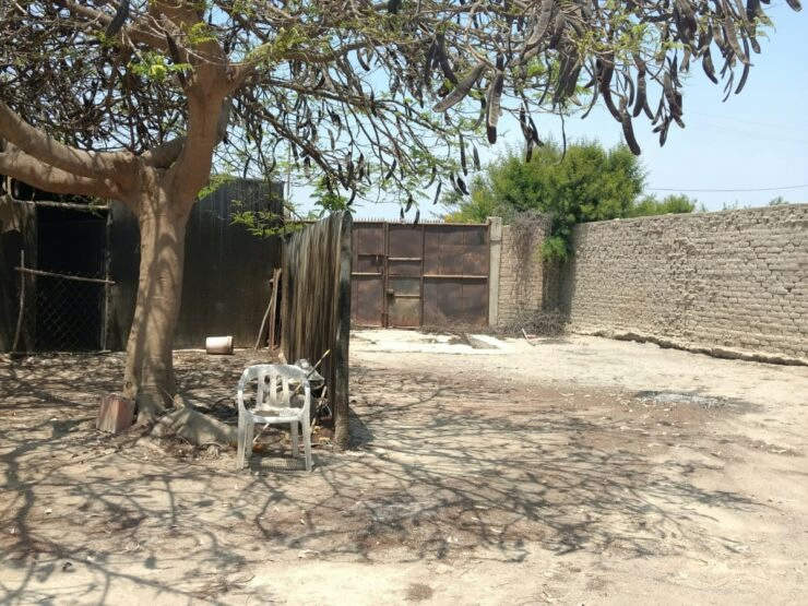 VENDO, Terreno en Zona Agricola de 42,500 m2. Zona Santa Catalin, Sunampe, Chincha