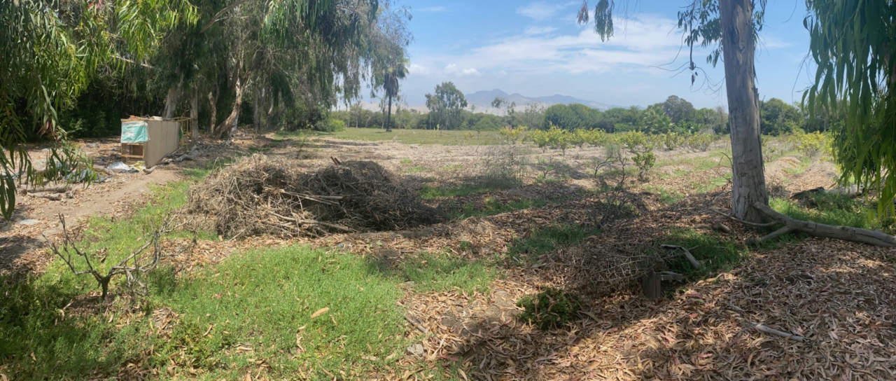 VENDO, terreno en psj San Vicente, Mala, Cañete (atrás del Restaurante Doña Paulina)