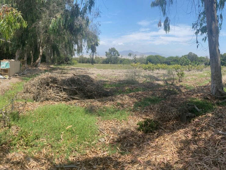 VENDO, terreno en psj San Vicente, Mala, Cañete (atrás del Restaurante Doña Paulina)
