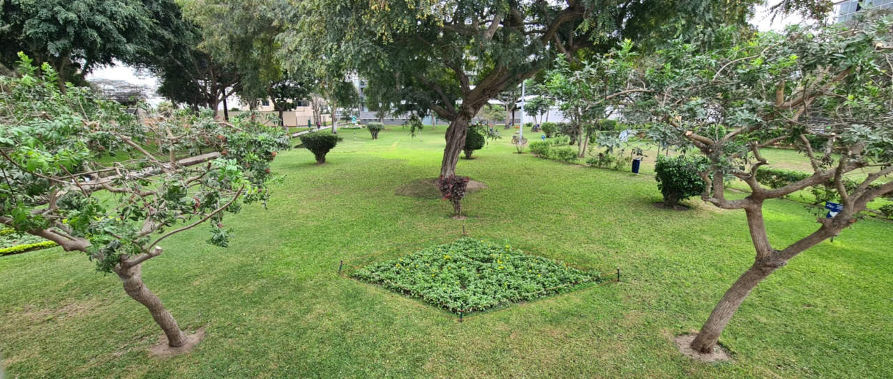 VENDO, excelente dpto en Arias Schereiber, La Aurora, Miraflores (vista a parque Paul Rivet)