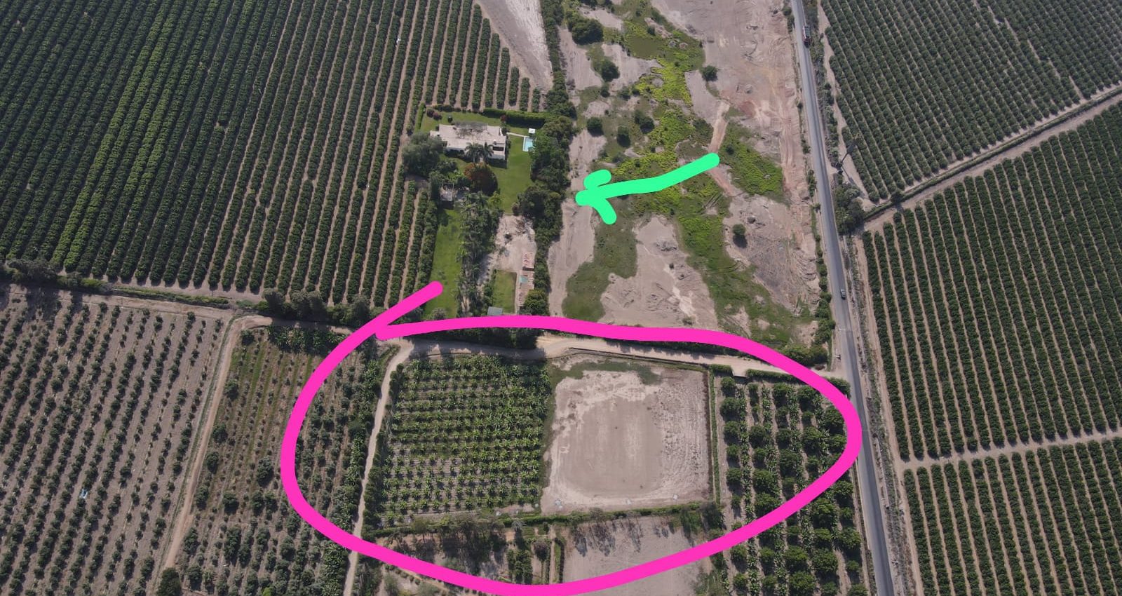 VENDO, terreno agrícola en Sector Santa Enriqueta, Alto Laran, Chincha, Ica
